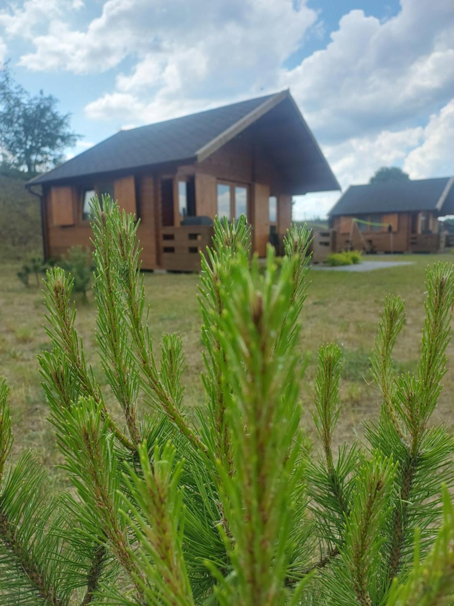 Kaszubskie Laki Domek Nr 4 Lakie Екстер'єр фото